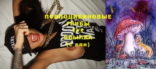 мяу мяу мука Абаза
