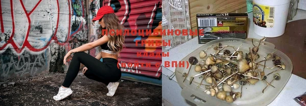 ПСИЛОЦИБИНОВЫЕ ГРИБЫ Алексеевка