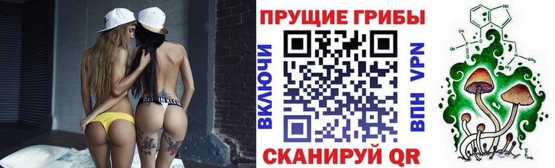 Псилоцибиновые грибы MAGIC MUSHROOMS Сысерть